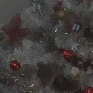 Meet your Posher, Lashay